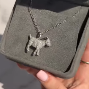 simone biles goat necklace